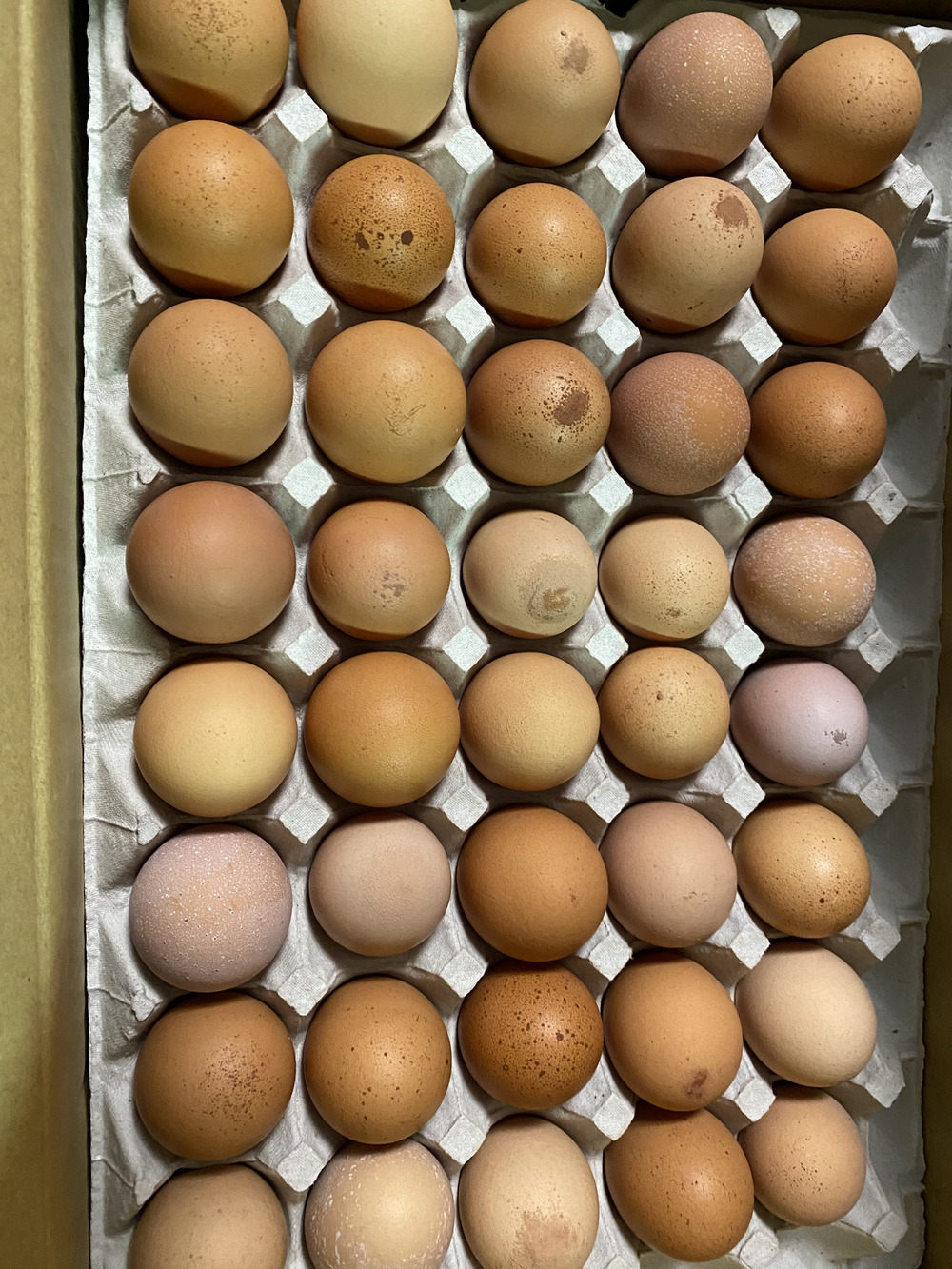 グリーンファーム久住へのご馳走様でした 食べチョク