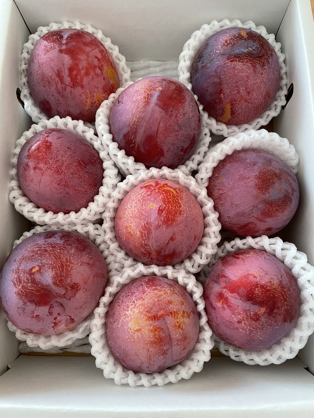 あおいふぁーむの投稿 食べチョク