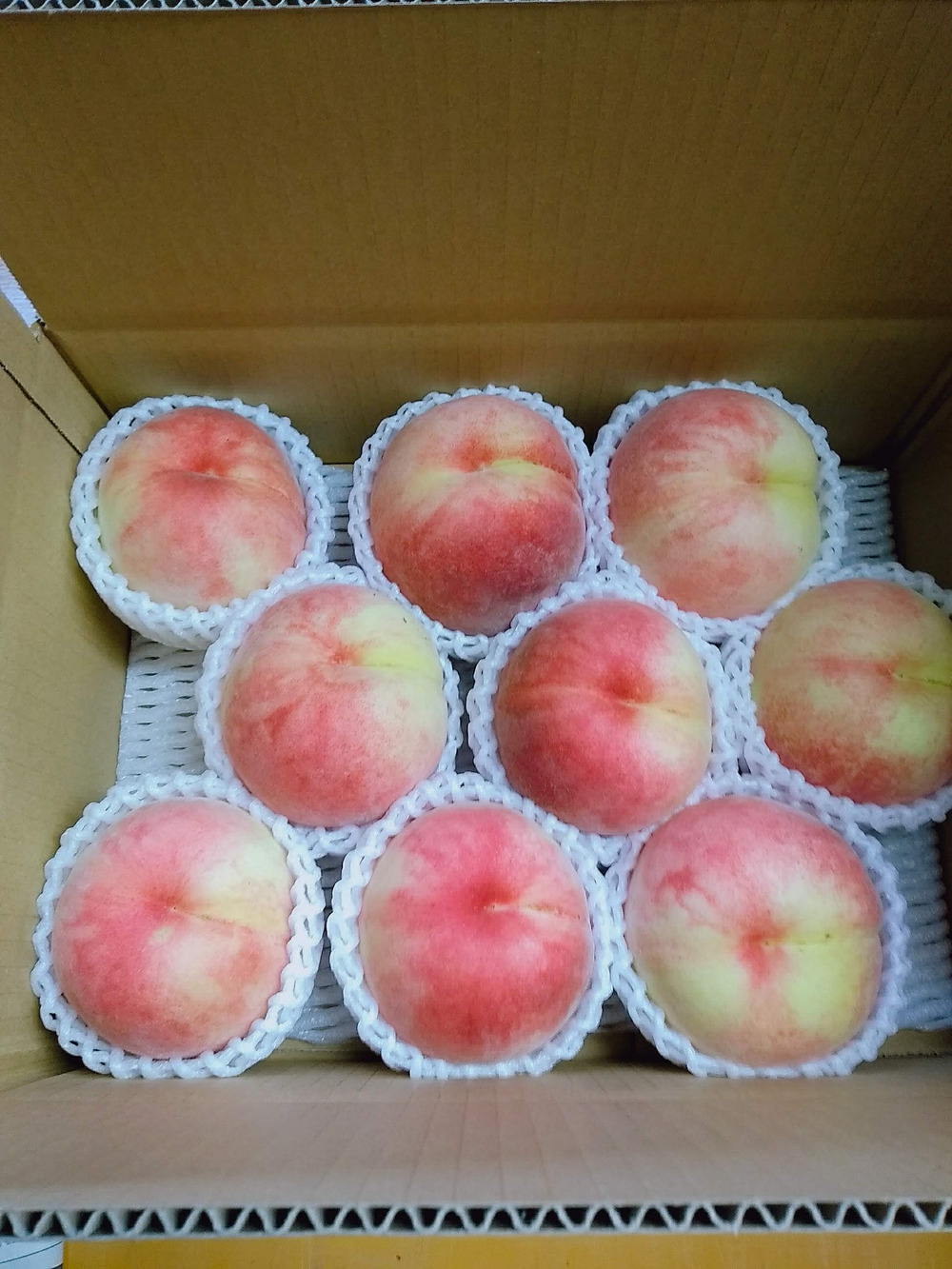 7月下旬 発送 朝採りの樹上完熟 小布施町のみずみずしい桃 なつっこ 自家用3キロ 長野県産 食べチョク 農家 漁師の産直ネット通販 旬の食材を生産者直送 7月下旬 発送 朝採りの樹上完熟 小布施町のみずみずしい桃 なつっこ 自家用3キロ 長野県産 食べチョク 農家 漁師の産直ネット通販 旬の食材を生産者直送