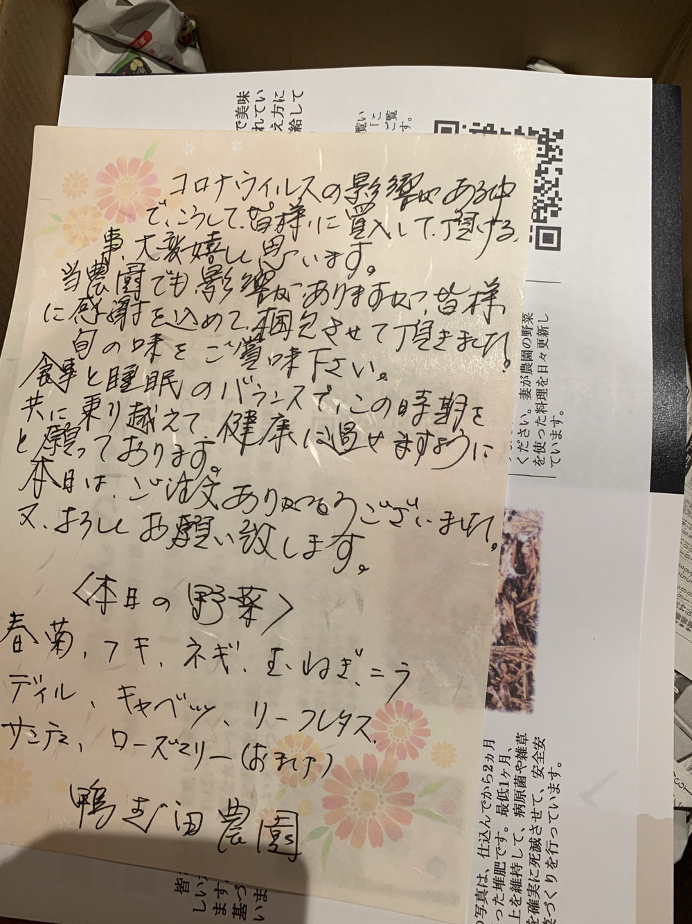 Yoshio Ikedaさんが鴨志田農園さんの鴨さんの旬を届ける 大盛り 野菜セットが 届いたよ を投稿しました 食べチョク