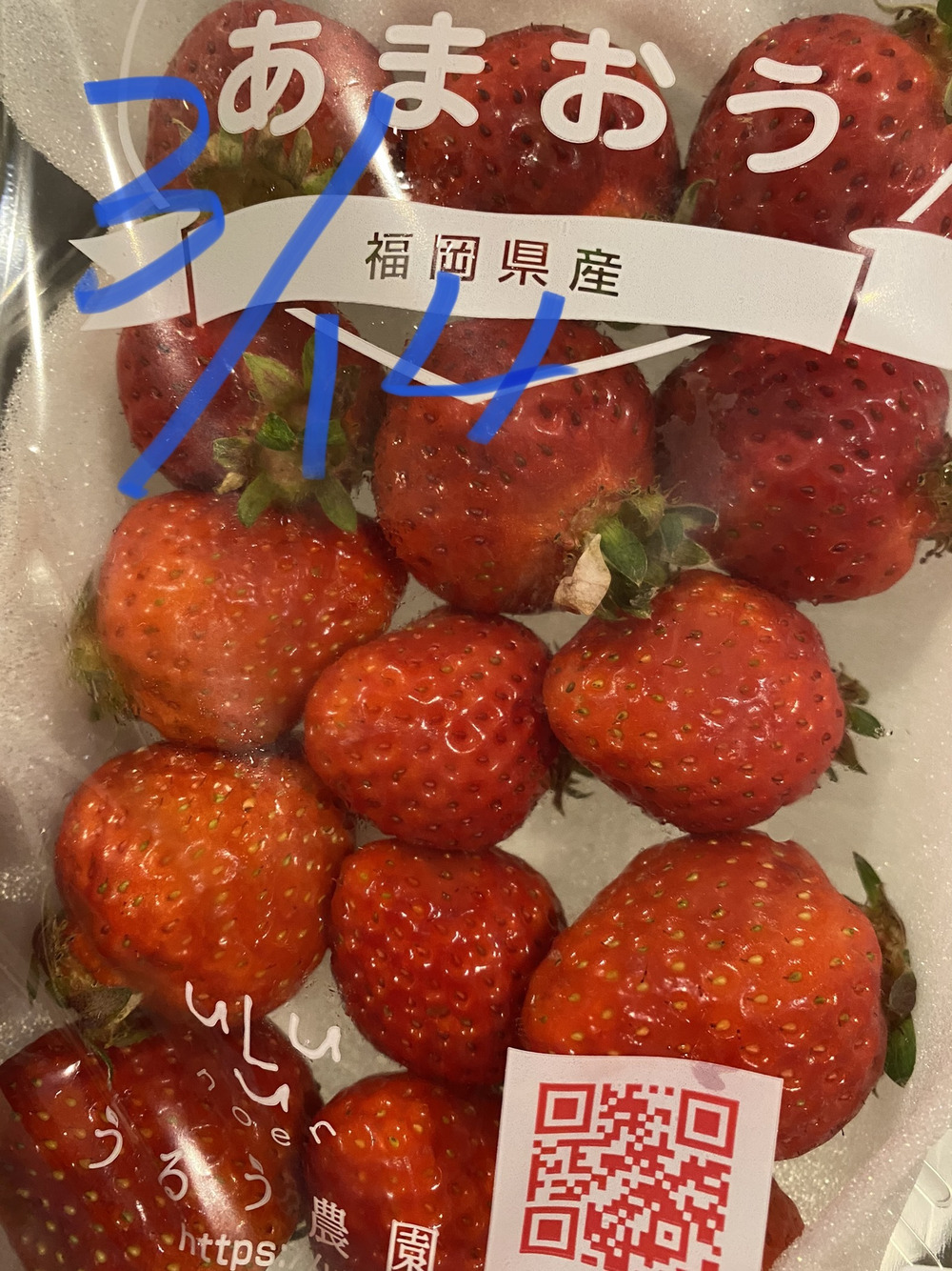 うるう農園 福岡のいちご の投稿 食べチョク うるう農園 福岡のいちご の投稿 食べチョク