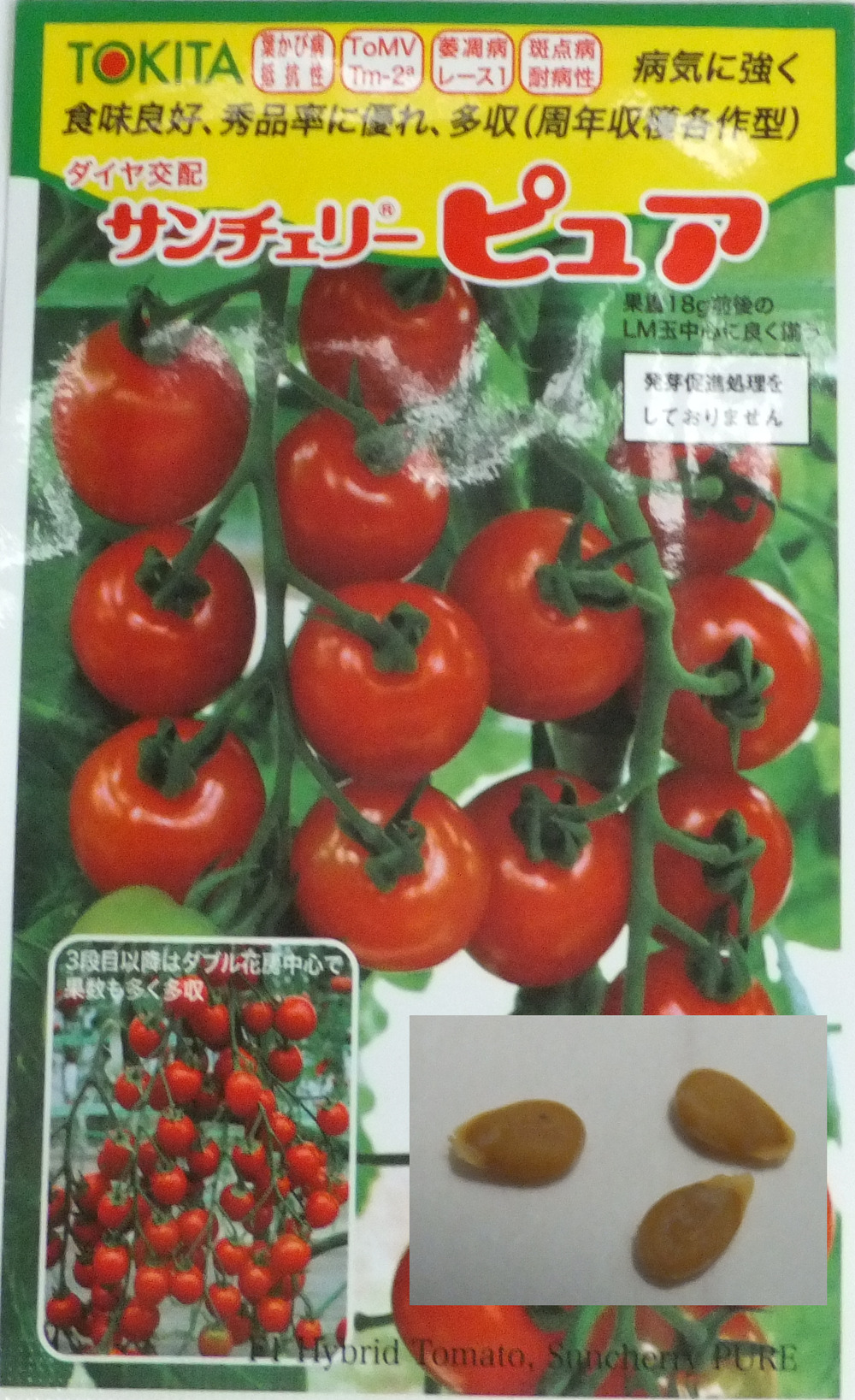 待望の種が届きました！2月出荷へ向けた大きな一歩】｜食べチョク