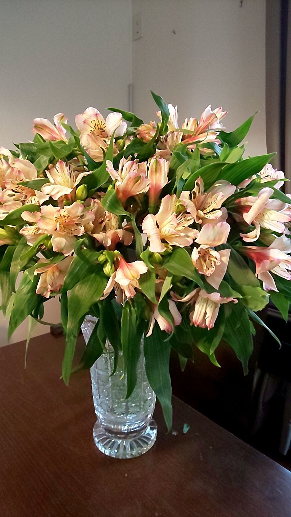 Yukoさんが古畑農園さんの単色 アルストロメリアの花束 ピンク 10本 が 届いたよ を投稿しました 食べチョク Yukoさんが古畑農園さんの単色 アルストロメリアの花束 ピンク 10本 が 届いたよ を投稿しました 食べチョク