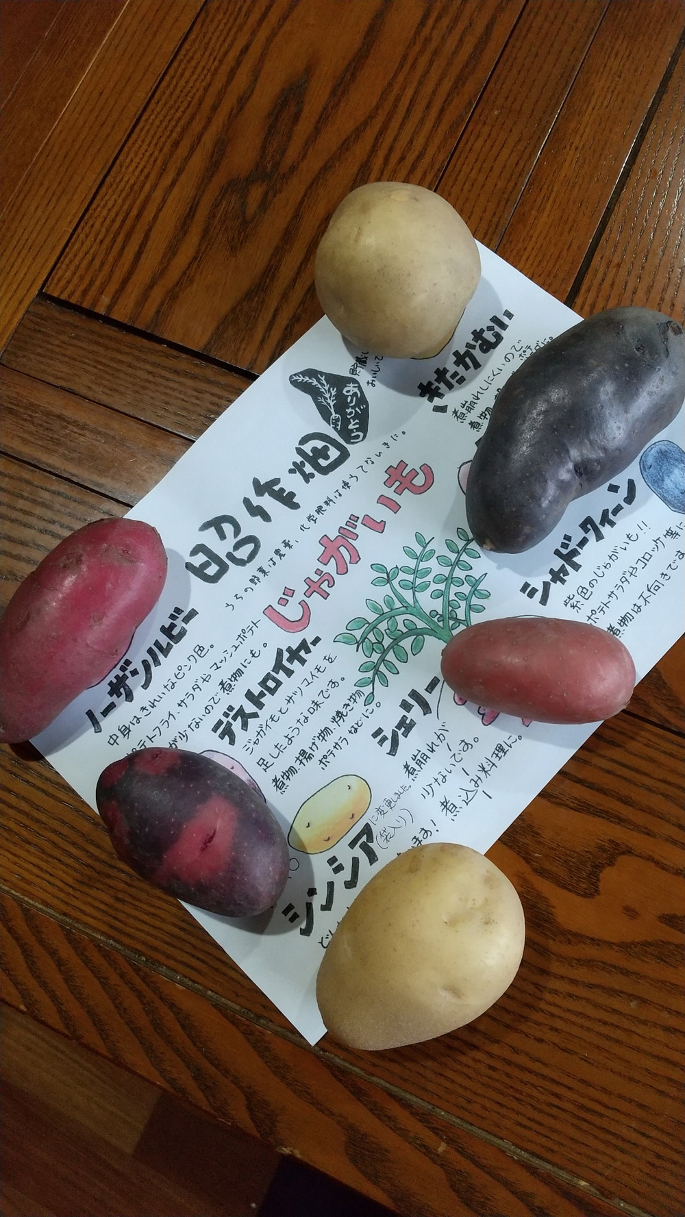 昭作畑の投稿 食べチョク