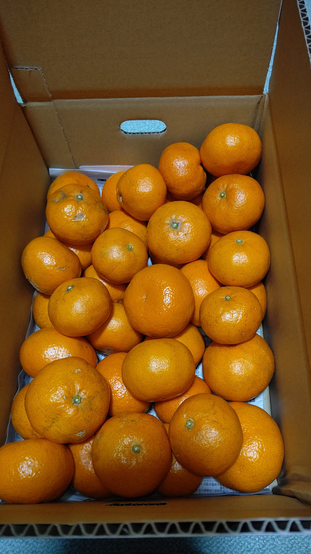 デメさんが宮田みかん農園さんのきみよ様専用 熊本発 農薬不使用栽培1年目 味の濃い美味しい温州みかん 日南極早生 今年最後の収穫 M ｌ混合 ５kg 箱込 が 届いたよ を投稿しました 食べチョク