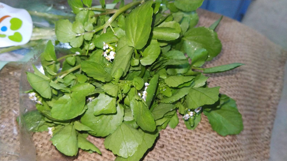 この時期だけしか味わえない花付クレソン 食べチョク 産地直送 産直 お取り寄せ通販 農家 漁師から旬の食材を直送