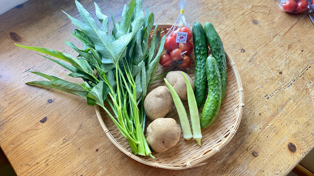 夏のお野菜セットの販売を始めました｜食べチョク｜産地直送
