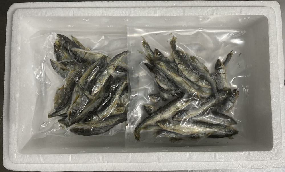 湯川水産への質問 食べチョク