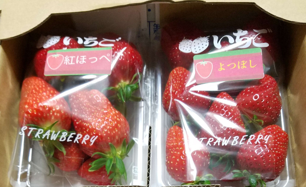 最高糖度19度 兵庫県産 高糖度イチゴ 1パック約300g 2 多品種あります 兵庫県産 食べチョク 農家 漁師の産直ネット通販 旬の食材を生産者直送