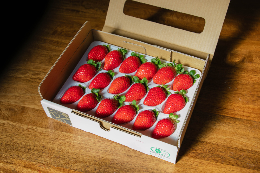 苺②roccaさん専用 農薬ゼロ 100%オーガニックいちご 中粒(18粒)：徳島県産のさちのか