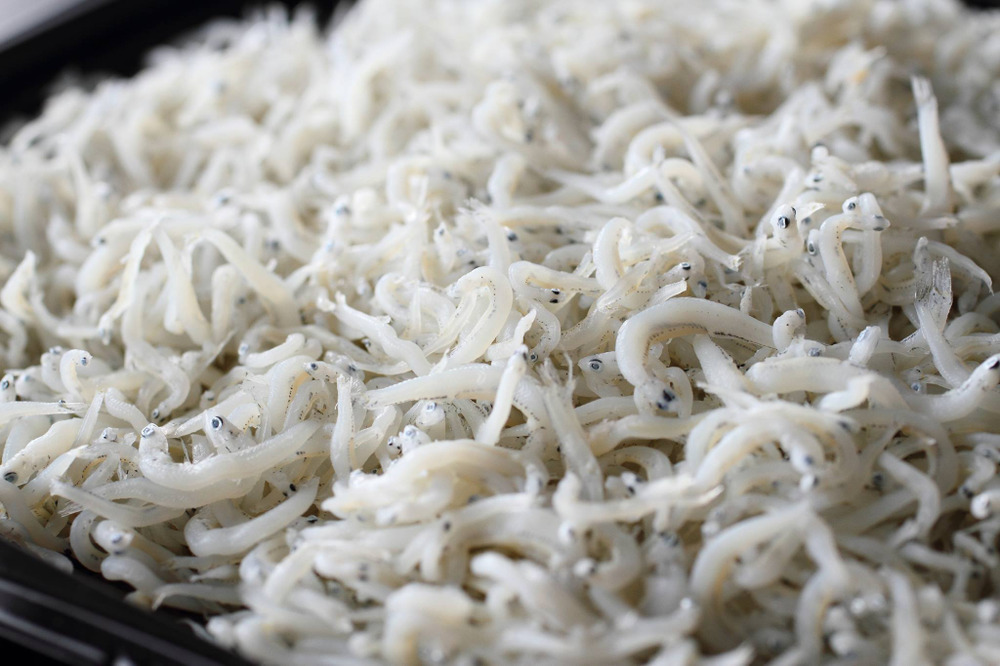残り7個になったので 1セットのみ冷凍 釜揚げちりめん ふわふわ釜揚げ離乳食に ちょっとシラス丼お手軽なのにご家族の食べっぷりが違う ストック用おまとめ買い 広島県産 食べチョク 農家 漁師の産直ネット通販 旬の食材を生産者直送 残り7個になったので 1セットのみ冷凍 釜揚げちりめん ふわふわ釜揚げ離乳食に ちょっとシラス丼お手軽なのにご家族の食べっぷりが違う ストック用おまとめ買い 広島県産 食べチョク 農家 漁師の産直ネット通販 旬の食材を生産者直送