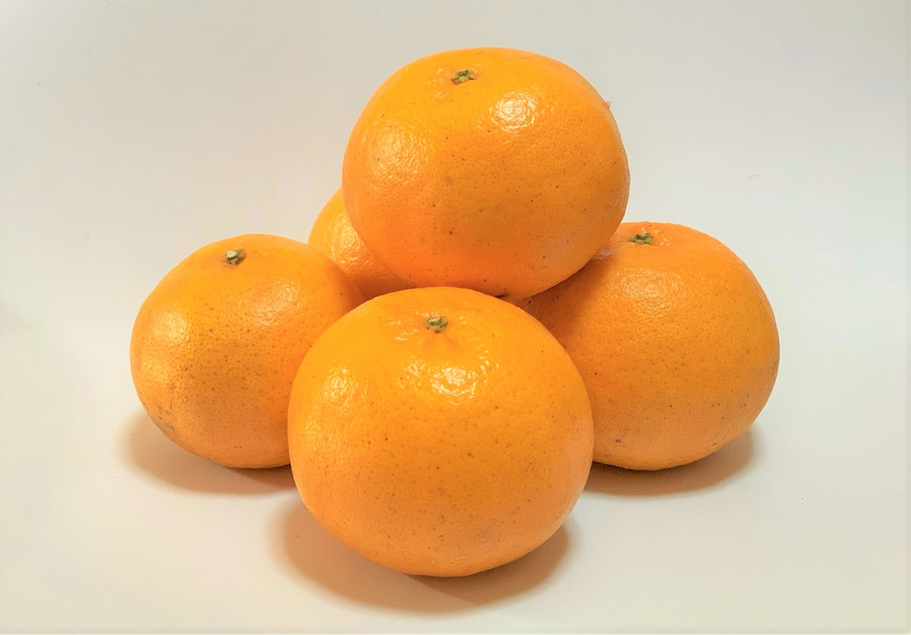宮崎県産 いまが旬 芳香高い 日南ポンカン 5kg 宮崎県産 食べチョク 農家 漁師の産直ネット通販 旬の食材を生産者直送