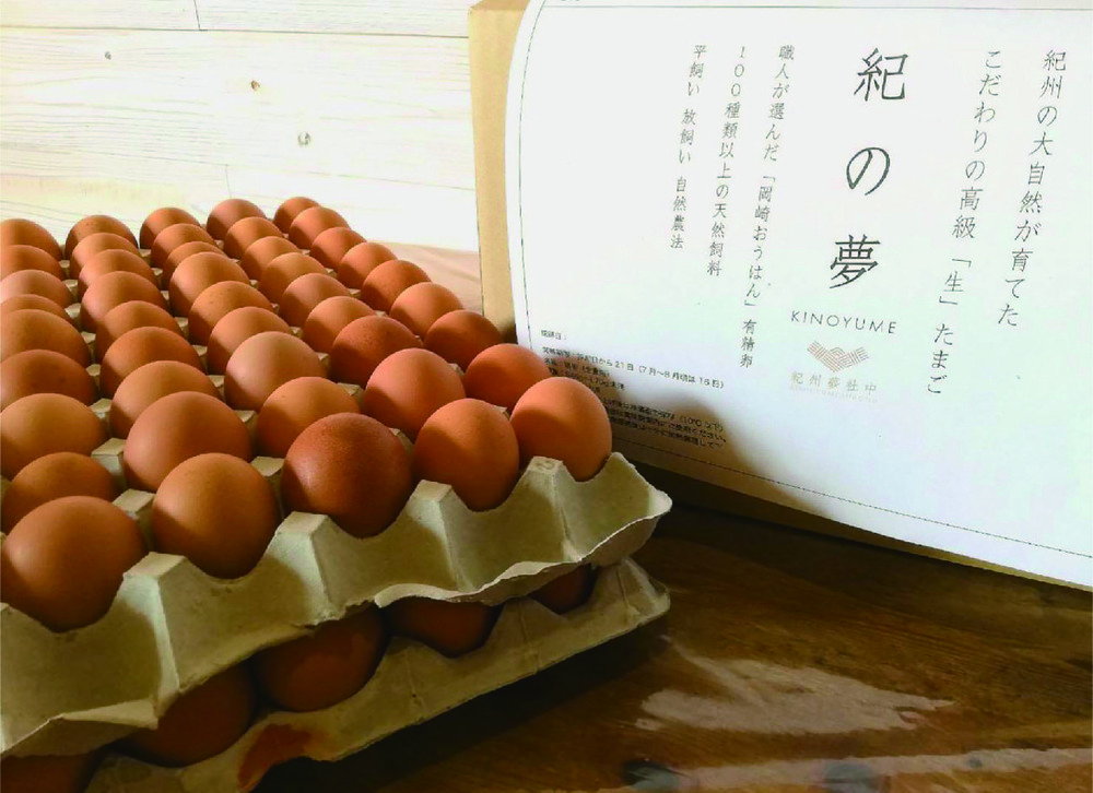 平飼い自然放し飼い有精卵 コロナ支援 数量限定割引販売60個 定価290円 1個がなんと100円 和歌山県産 食べチョク 農家 漁師の産直ネット通販 旬の食材を生産者直送
