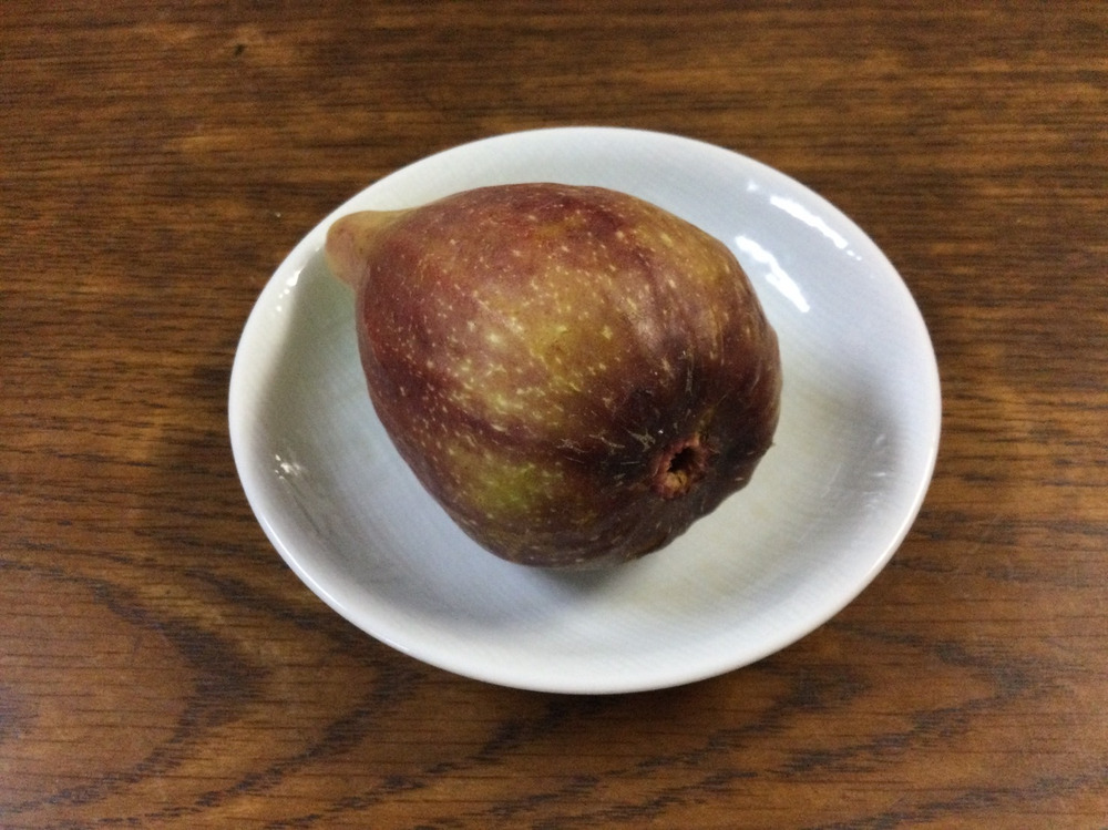 無肥料 無農薬栽培の無花果 イチジク 食べチョク 産地直送 産直 お取り寄せ通販 農家 漁師から旬の食材を直送 無肥料 無農薬栽培の無花果 イチジク 食べチョク 産地直送 産直 お取り寄せ通販 農家 漁師から旬の食材を直送