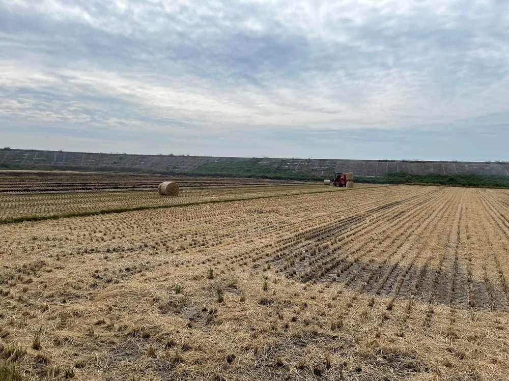 稲刈り、藁取りの真っ只中🌾｜食べチョク｜産地直送(産直)お