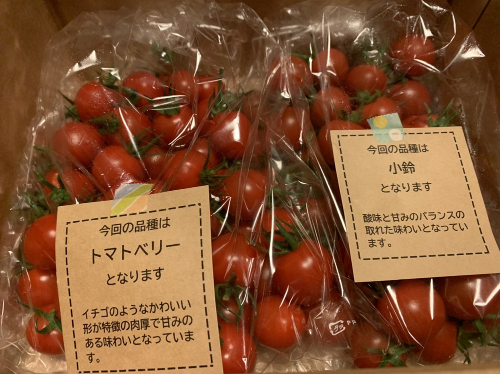 あけちんさんが斉藤農園 斉藤雅通さんの食卓に笑顔を ハートっぽい形の完熟トマトベリー ミニトマトのセット 1kg 千葉県旭市産 が 届いたよ を投稿しました 食べチョク