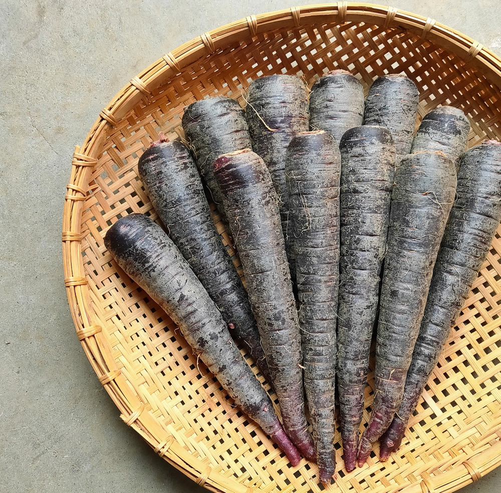 本物のオーガニック 抗酸化作用が嬉しい その上美味しい アントシアニンたっぷりポリフェノールはなんと10倍 使い切り60サイズ 有機紫人参2 京都府産 食べチョク 農家 漁師の産直ネット通販 旬の食材を生産者直送