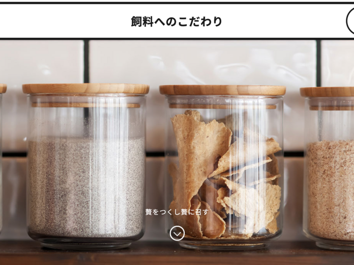 エサの製造から一貫して行っております