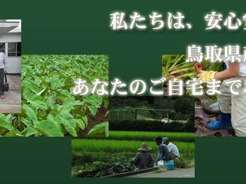 令和7年産 きぬむすめ【白米】 10kg