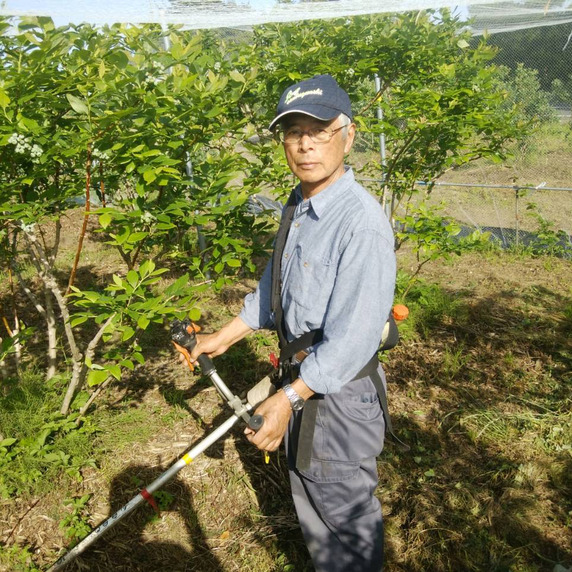 ブルーベリーはせ川