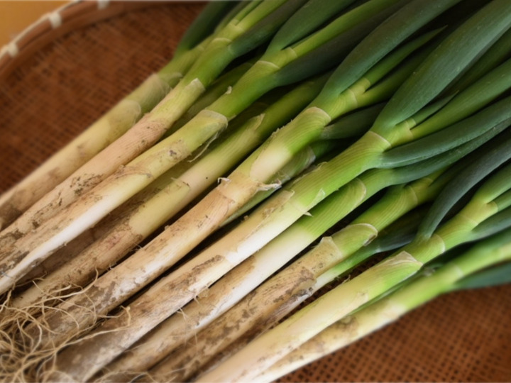 年末のプロモーション大特価！ 限定】旬の味！！！深谷蜜ねぎ5キロ（訳あり品）：埼玉県産の 野菜