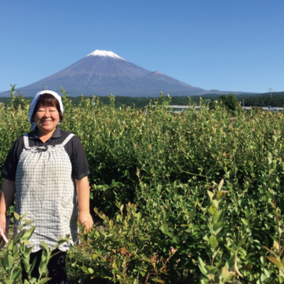 富士ベリーファーム
