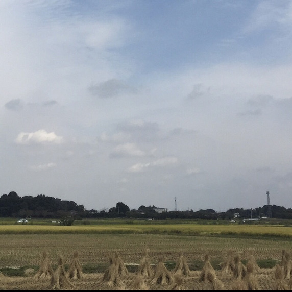 さいとうアグリ