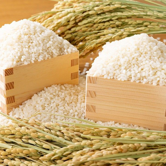 富良野ノースファーム