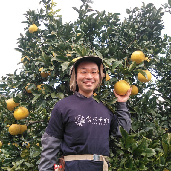 高知県の生産者一覧｜食べチョク｜産地直送(産直)お取り寄せ通販