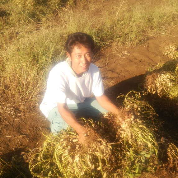 伊豆有畜農業　彦星ファーム（旧九十九里潮風野菜　和田農場）