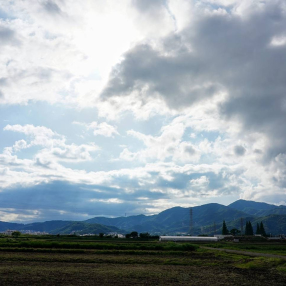 佐野農園