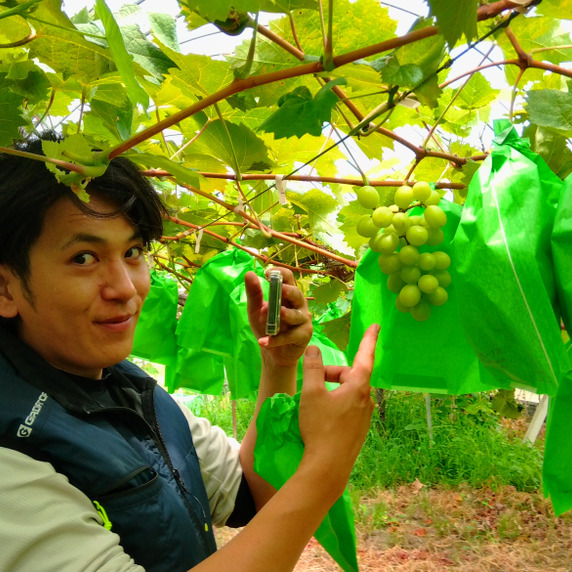 ぶどう夫婦farm