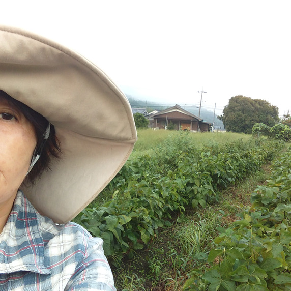 こむ畑