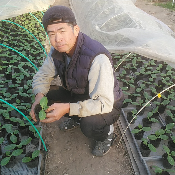 すべての生産者｜167ページ目｜食べチョク｜産地直送(産直)お