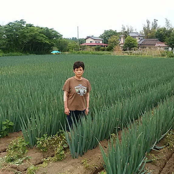 馬場ファーム田村