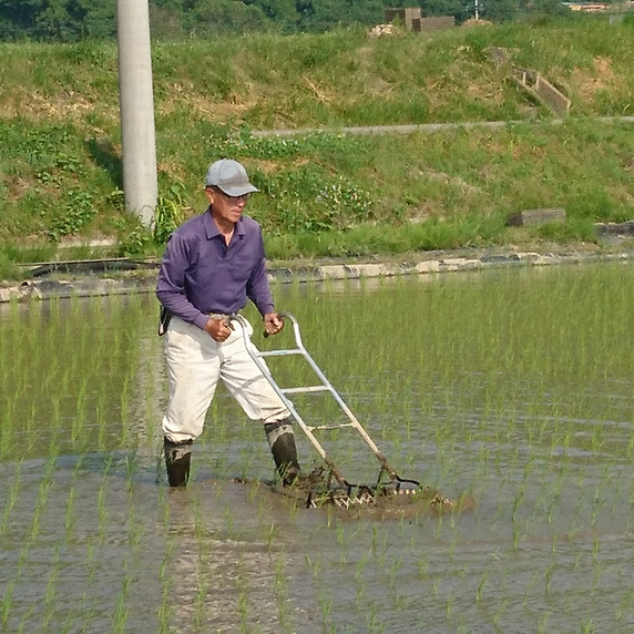 佐久のかぜ　農園