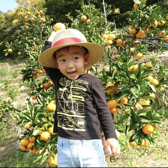 特別栽培みかん HATANAKAFARM 畑中園