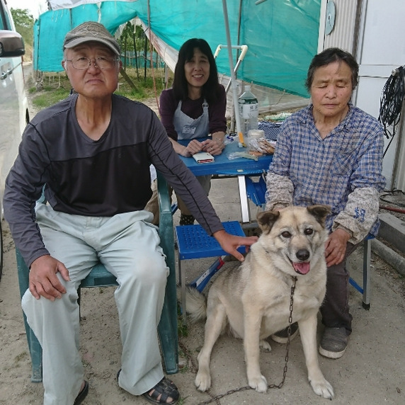 丸勝加古ぶどう園