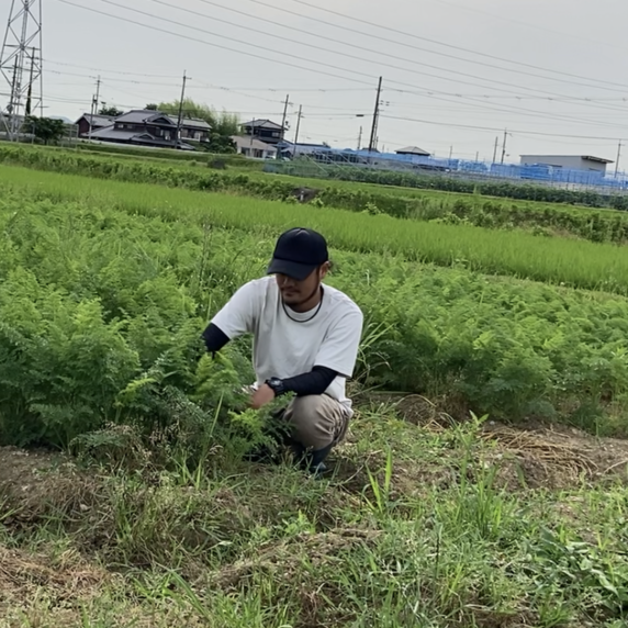 FARM FaRm