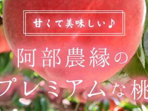 【砂糖不使用】　使うのは福島の朝採れ桃だけ！桃の無水コンポート砂糖不使用　お得なアウトレット品1000ｇ（500ｇ×2パック）　デザート・お菓子作りに