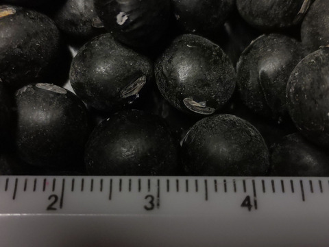 丹波産　自然栽培黒豆（1kg）