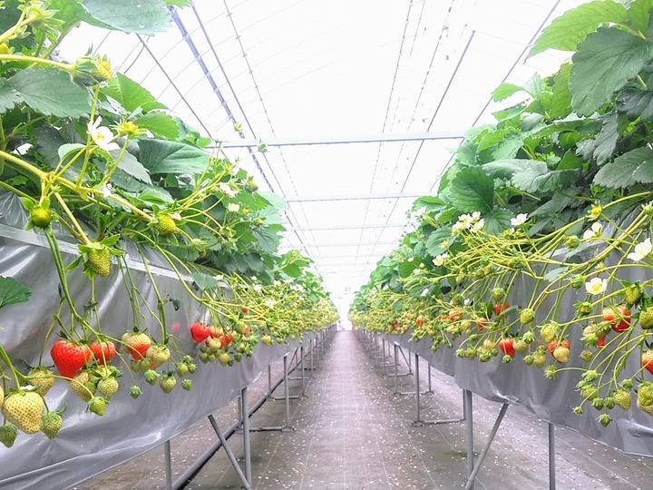 生産者のこだわり
