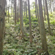 塚本学