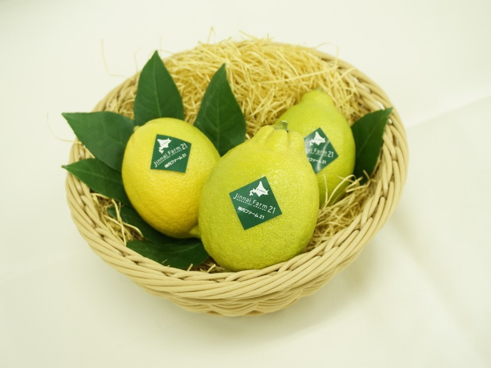 日本初の-限定セールトゲなしレモンの木”ビアフランカ”/檸檬/•れもん（樹•高：1.6m内外）2023.3月撮影：ガーデニングショップ四季の里 