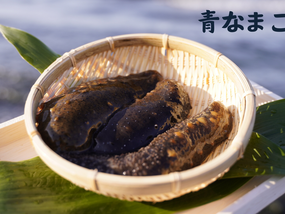 漁師直送!!青ナマコ 海鼠(なまこ)1kg(4〜7個)【大阪最南端 岬町産】:大阪府産のその他水産物|食べチョク|産地直送(産直)お取り寄せ ...