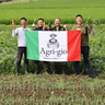 京都丹波イタリア野菜　アグリージョ　Agri-Gio
