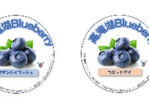 【冷蔵】パリッと爽やか「高滝湖ブルーベリー」（初物）（露地栽培）250g×2p（ハイブッシュ）