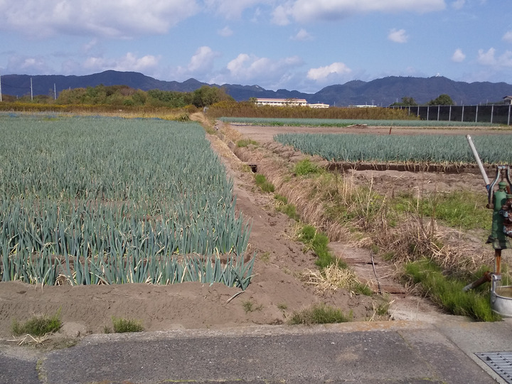 生産者のこだわり