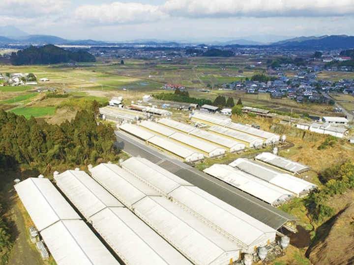 生産者のこだわり