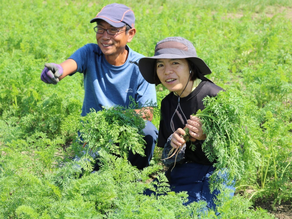 栽培期間中　農薬化学肥料不使用 アロマレッド人参3㎏（サイズ大きめ）